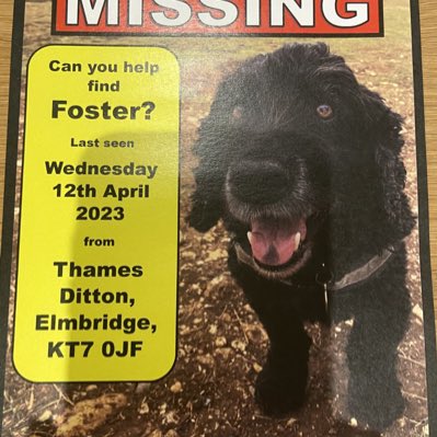 Where is Foster we need help he is out there somewhere. #ThamesDitton #Esher #Elmbridge #Kt70 area . Commuters keep eye out . @ElmbridgeBeat