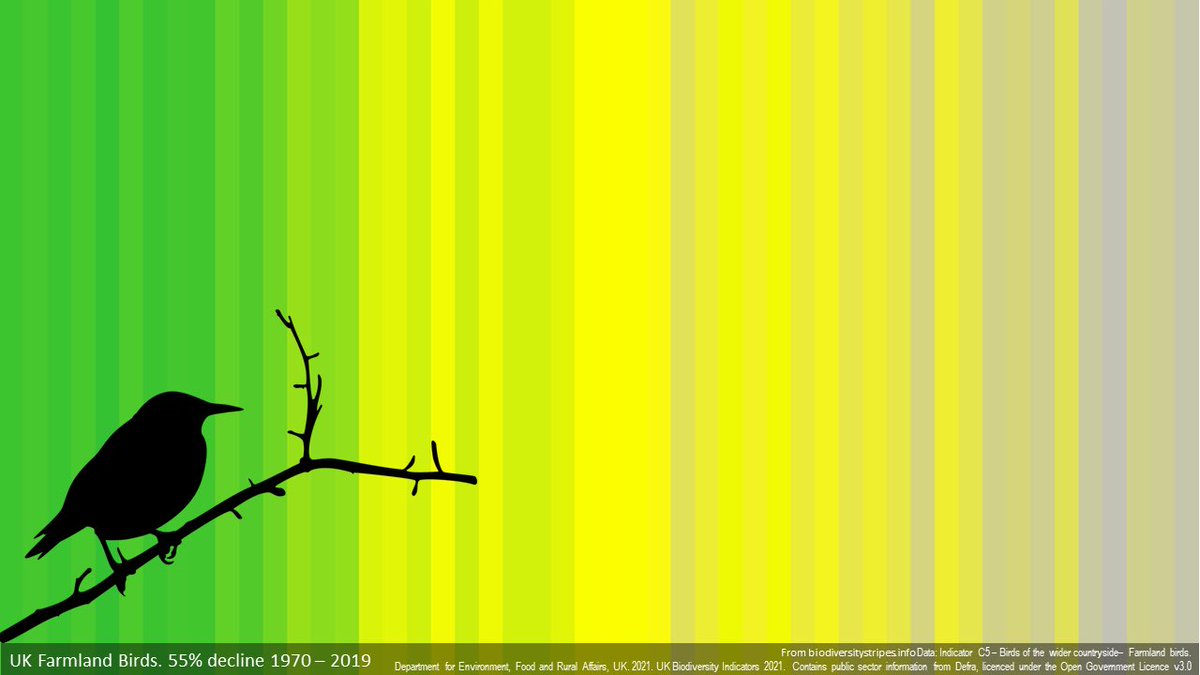 findingnature's tweet photo. Only a new relationship with nature can prevent a silent (and grey) Spring: https://t.co/ZwpmTlS4hn https://t.co/AhhFold1C1