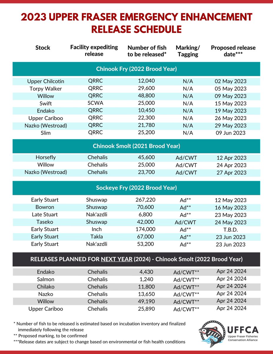 Here's an UPDATED schedule of emergency conservation enhancement salmon fry/smolt releases. UFFCA is working with Upper Fraser First Nations and partners to rebuild already vulnerable salmon that were further impacted by the Big Bar Landslide. Join us for an event in your area!