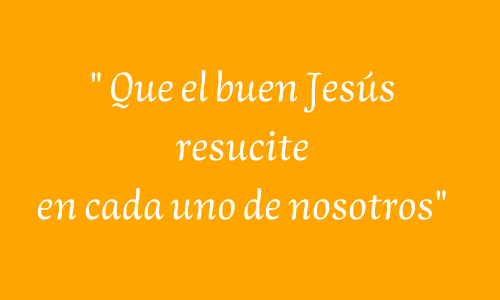 causamcolomina (@causamcolomina) on Twitter photo 