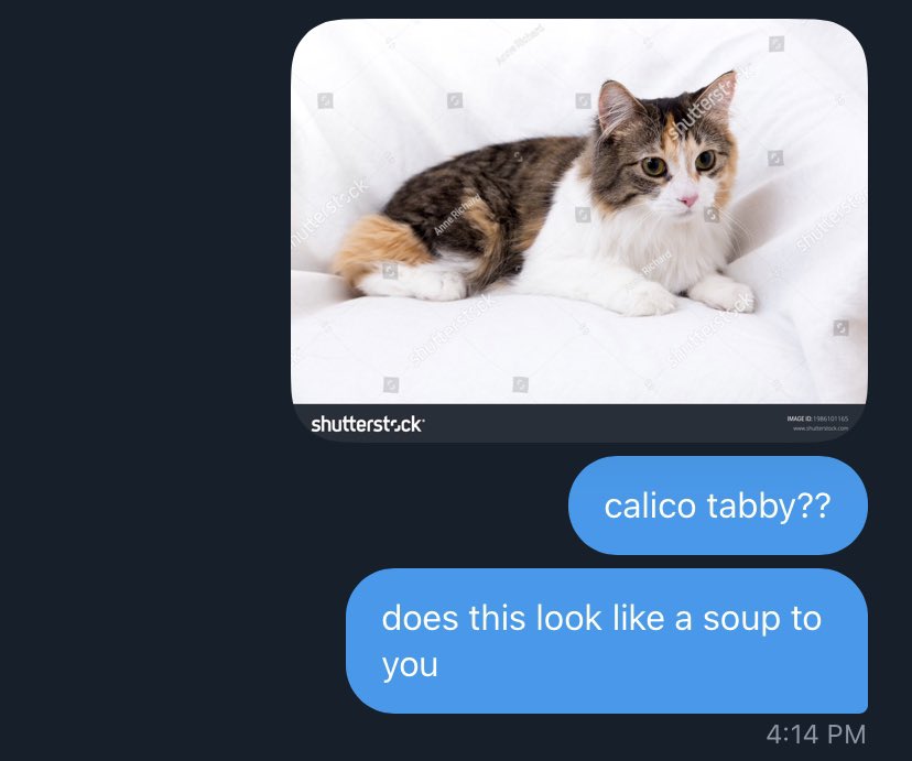 lunebyssal's tweet photo. guess the context https://t.co/Nt5U0n5x5W