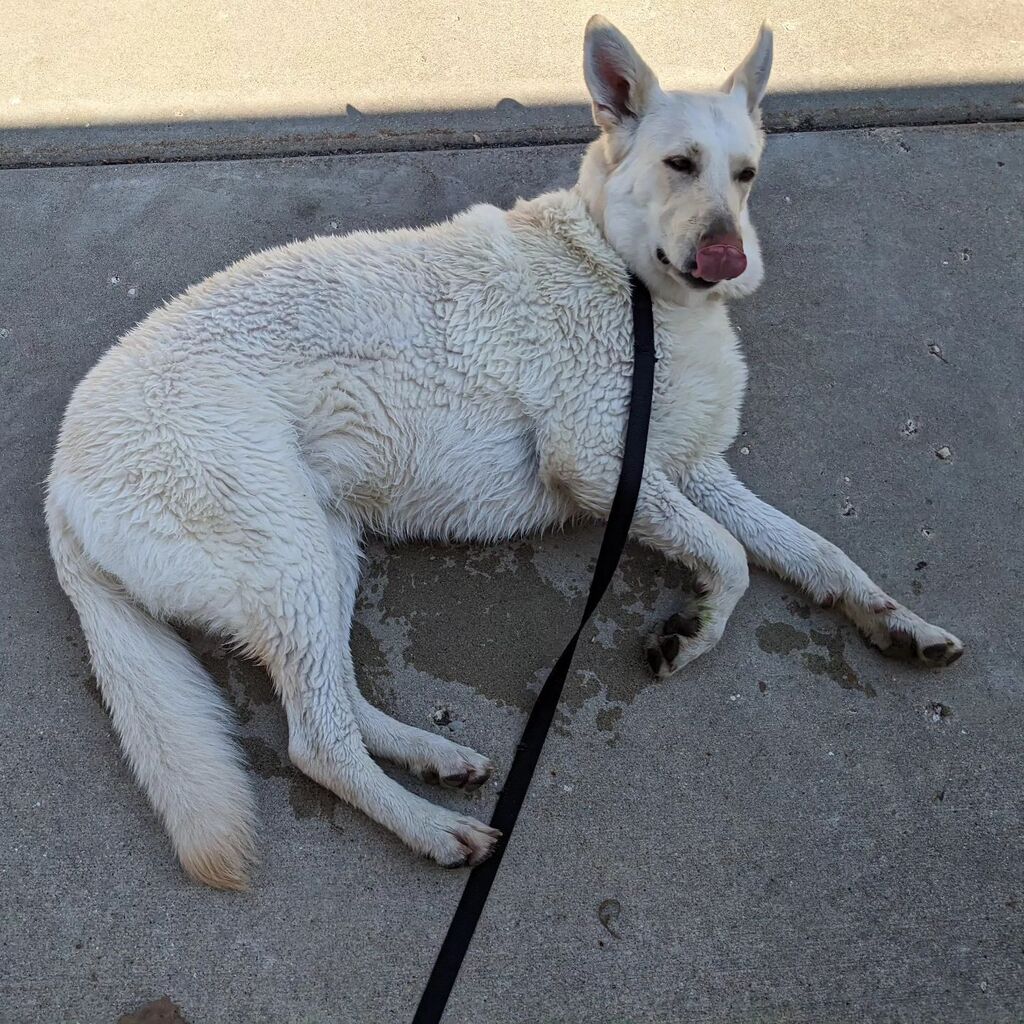 Mark Hayward tweet media