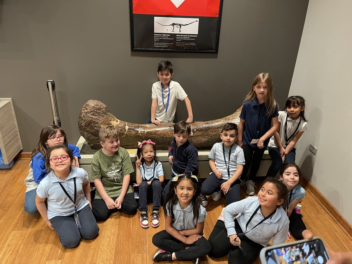 Carina B. tweet media