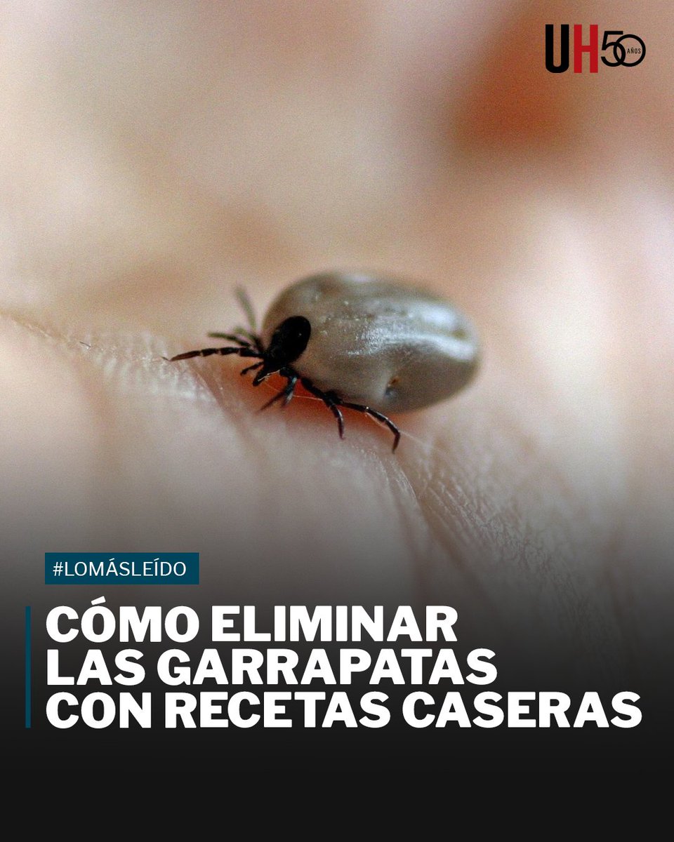 UltimaHoracom's tweet photo. #LoMásLeído | Para alejar a las indeseadas garrapatas existe una solución fácil. Más detalles en la nota 👇
➡️https://t.co/B9KO3CuS5g https://t.co/OLSrpL86bZ