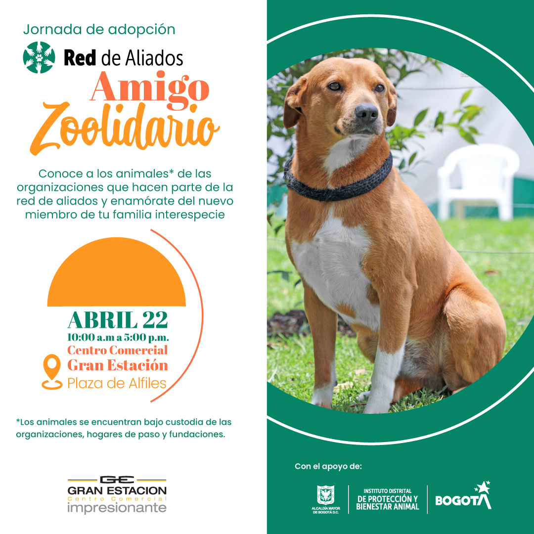 ¡Este 22 de abril será el momento perfecto para adoptar a tu nuevo mejor amigo! 🐶🐱

👉 Los esperamos en la jornada de adopción de <a href="/AnimalesBOG/">Protección Animal Bogotá</a> con la red de aliados.

⏱10 am a 5 pm. 
📍 Plazoleta Alfiles.