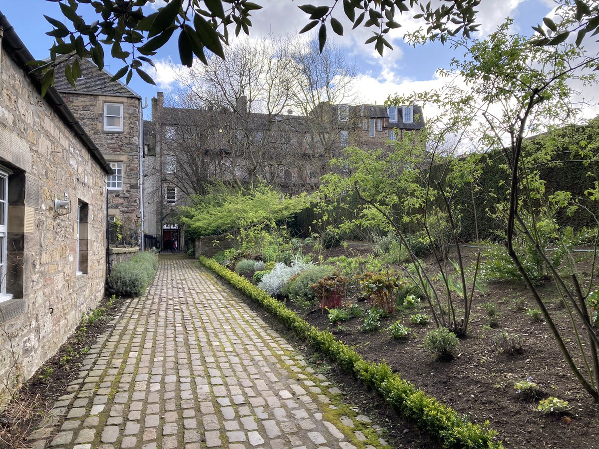 AKHoadley's tweet photo. Finding hidden @EdinOutdoors gardens off the Royal Mile on a lunch break 🌿☀️🌻 https://t.co/w24SyheaV8