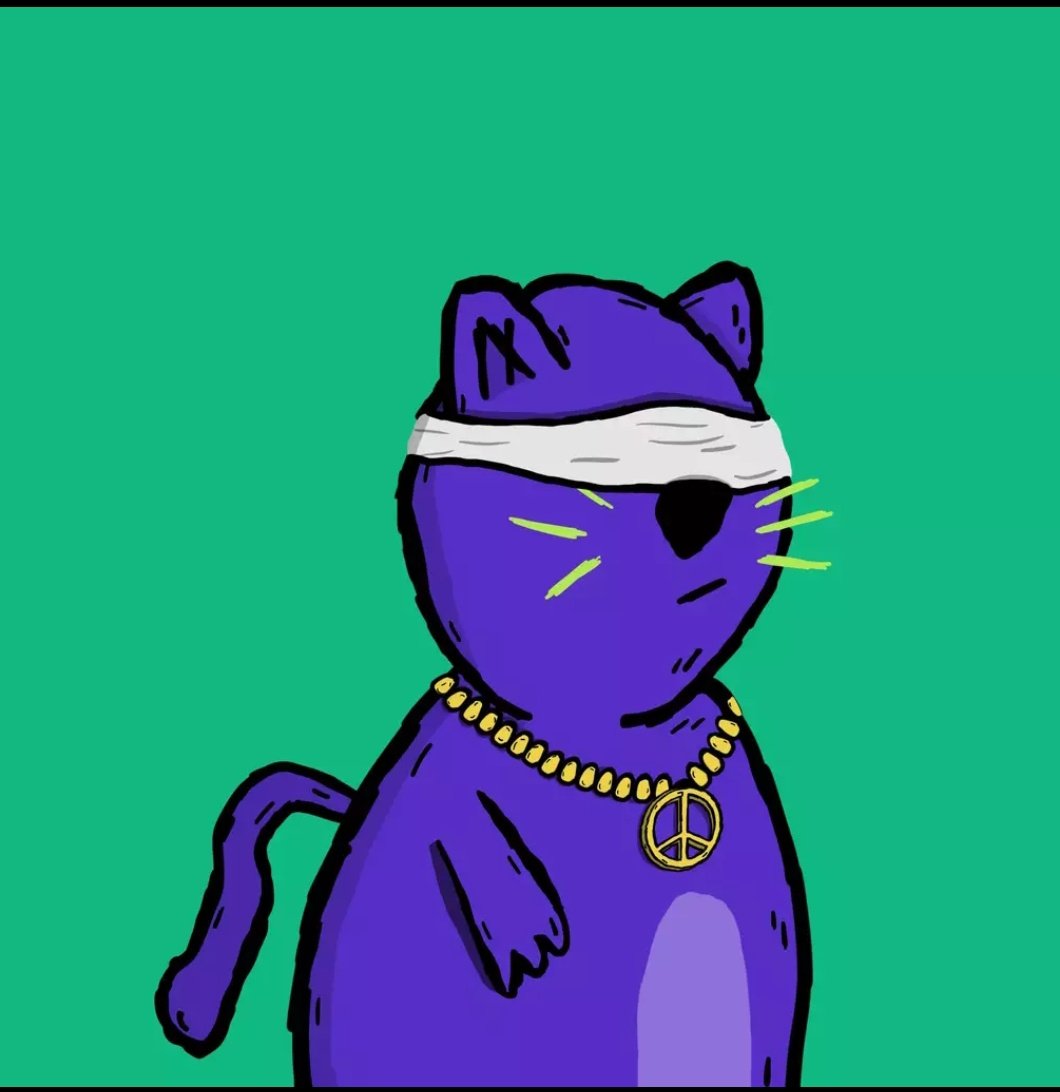 hybrid_brain's tweet photo. My @ShittyKitties_ is asking if $Algo worth investing on
#shittymonday https://t.co/zM4ulTqTN6