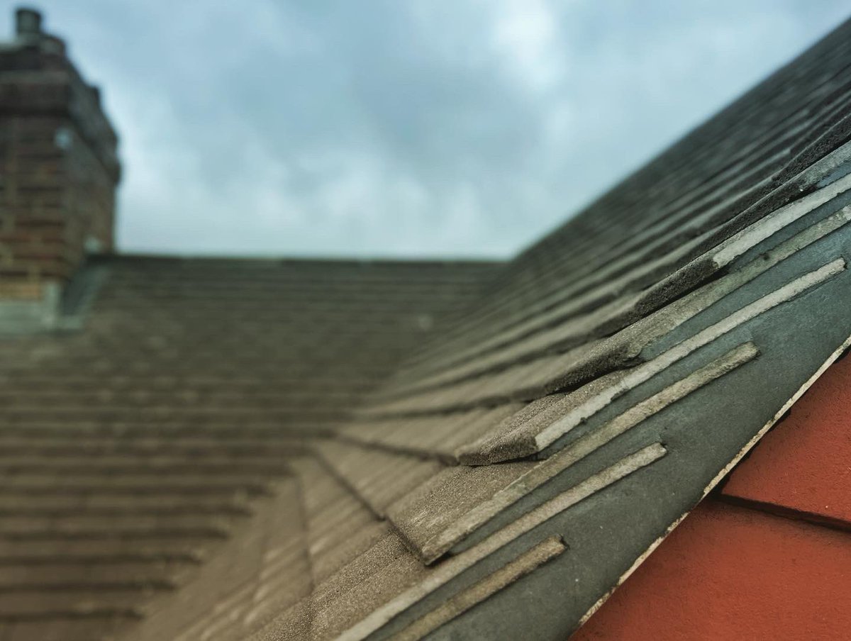 Dunning & Evans (@dunningbuilding) on Twitter photo Another New Roof finished, this one in Worcester Park.
Give us a follow on any of our socials to keep up to date on what weโre up to. ๐
Instagram - ๐ท
@dunningevans
Facebook - ๐ฆ
Dunning And Evans Ltd.
Twitter - ๐ฆ
<a href="/DunningBuilding/">Dunning & Evans</a>
Contact ๐๐ป๐ง
#dunningandevans Another New Roof finished, this one in Worcester Park.
Give us a follow on any of our socials to keep up to date on what weโre up to. ๐
Instagram - ๐ท
@dunningevans
Facebook - ๐ฆ
Dunning And Evans Ltd.
Twitter - ๐ฆ
<a href="/DunningBuilding/">Dunning & Evans</a>
Contact ๐๐ป๐ง
#dunningandevans