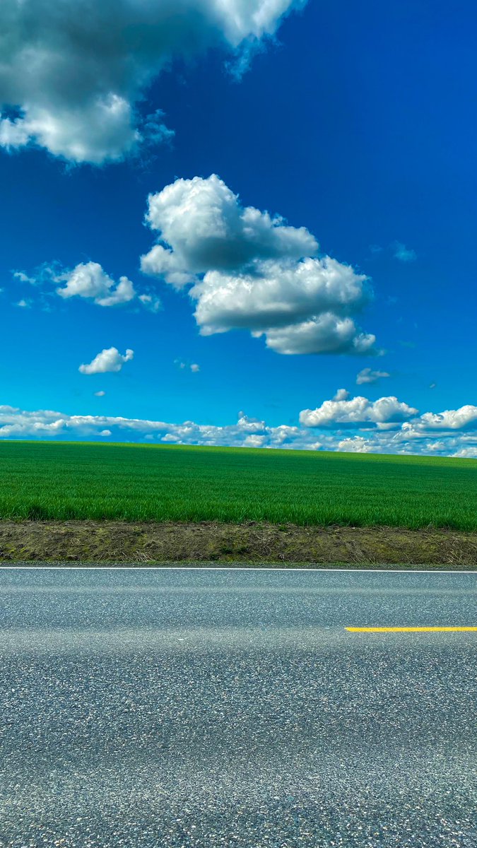 ضواحي أوريغون..