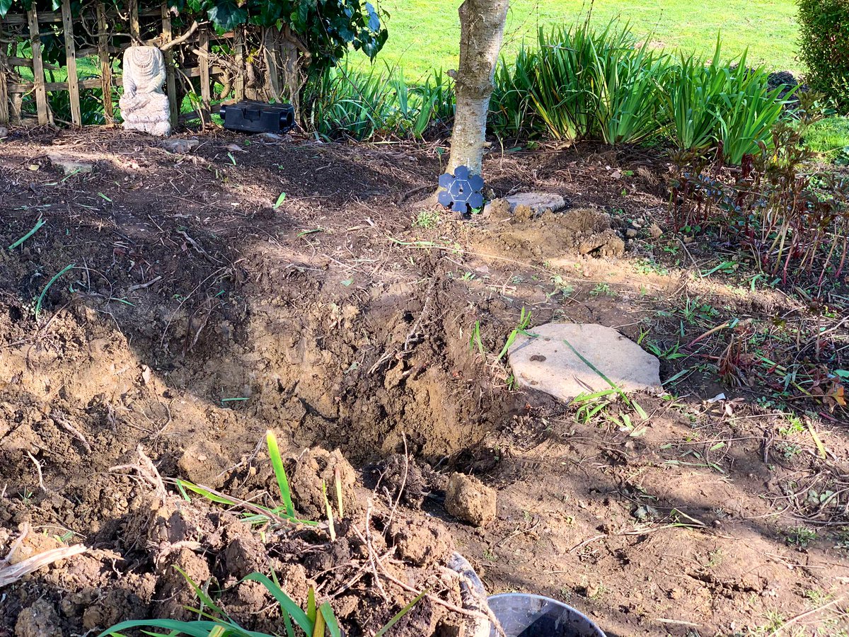 We made the most of the sun today and dug out the pond! New and improved pond area pending ☀️ 🐸 <a href="/SPFT_NHS/">Sussex Partnership</a>