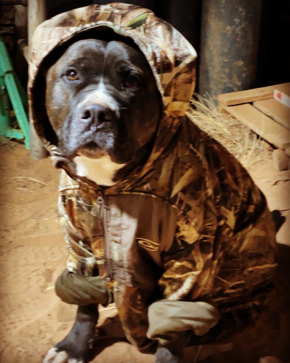 Tank said “Now ya see me, now ya don’t”