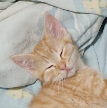 ♡《Mia▪︎Lou》♡ tweet media