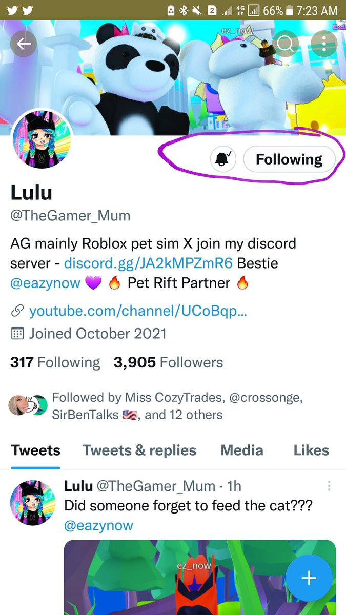 VoidkillerTM's tweet photo. @TheGamer_Mum Done All Lulu w/Proof https://t.co/i0VWruTnjM