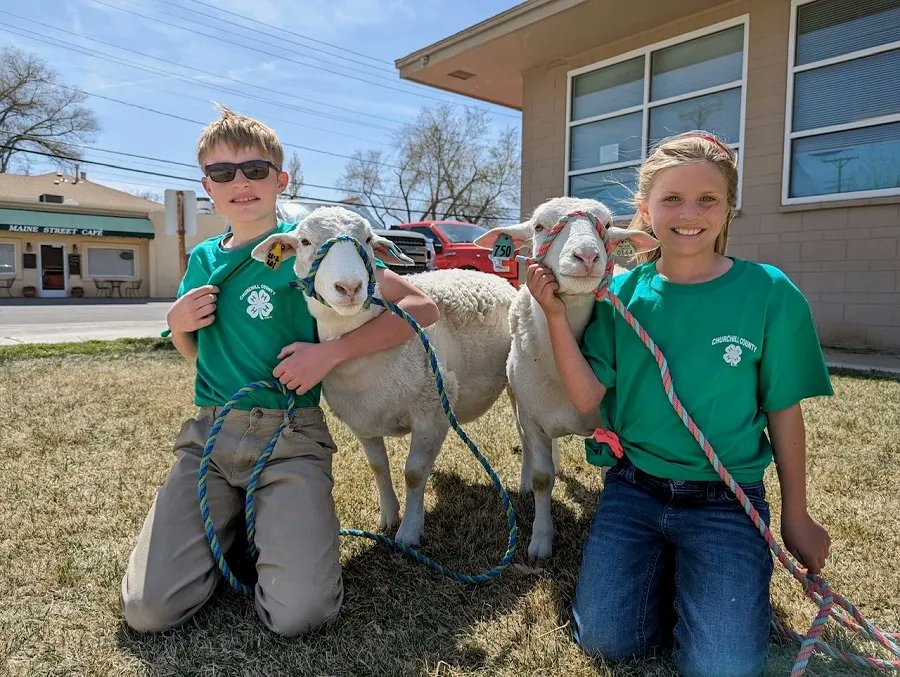 Youth participating in the #ChurchillCounty Jr. Livestock Show &amp; Sale "walked the town" with their animals on 4/14 to promote the show. The free Show &amp; Sale takes place April 27-29 at the #Rafter3CArena. 
Meat buyer information: buff.ly/3mDMtCA