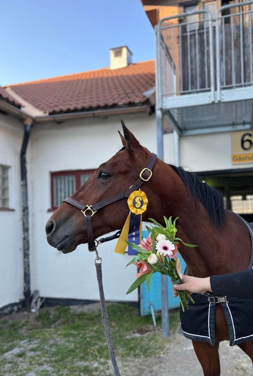 Kagan årsdebuterade på bästa sätt när han vann på <a href="/Solvalla/">Solvalla</a> under söndagens tävlingar på fina 1.12,9/2140a🤩🐴🌟🥇