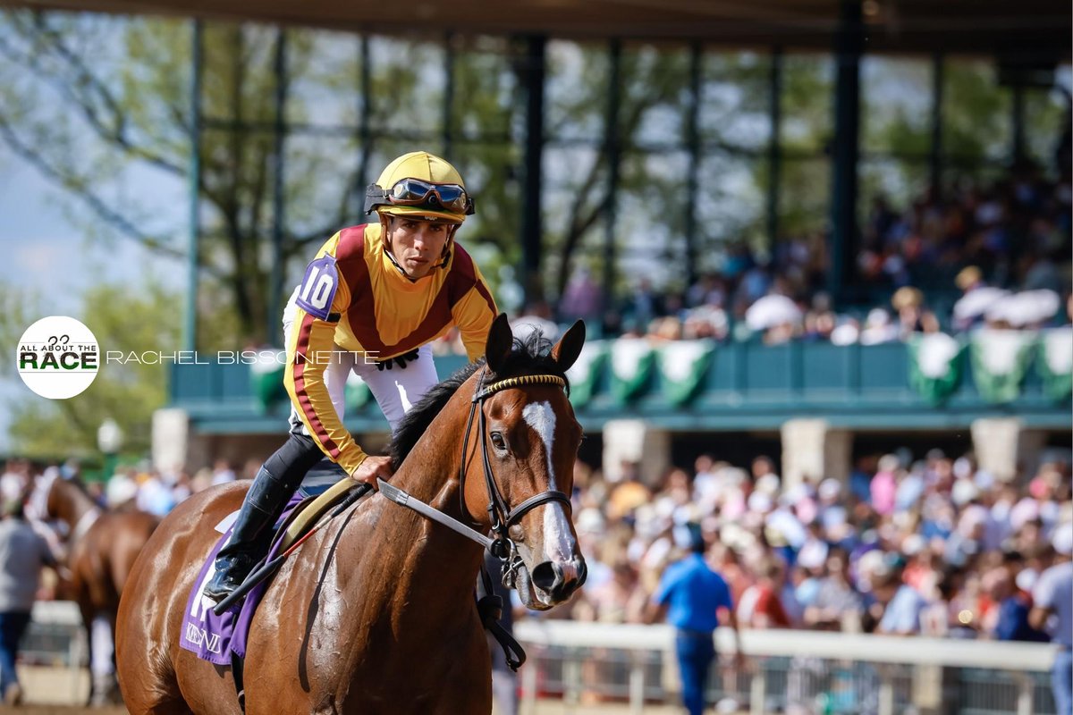 allbouttherace's tweet photo. Record setter.
#TwilightGleaming (IRE) set a new stakes record for the #GiantsCauseway (L) at #Keeneland with a final time of 1:01.74.
📷: @Rachelbissonet2
#AllAboutTheRace #TheBusinessOfHorseRacing #HorseRacing #StonestreetFarm #WesleyWard #IradOrtizJr #Keeneland2023 https://t.co/CsPo60puge