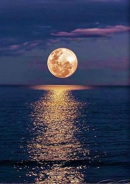 visuals_moon's tweet photo. * Become a servant of your parents, Allah will make you the king of the world.* https://t.co/qznMYxwAK6