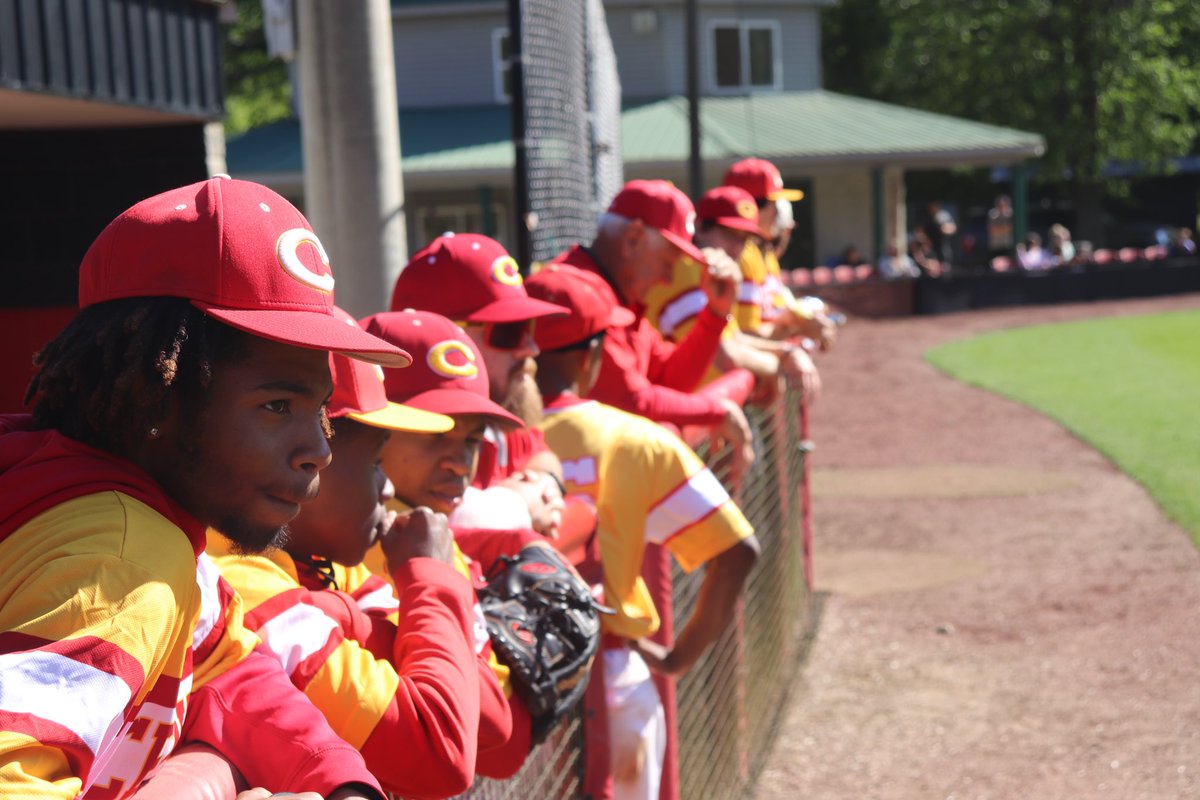 Glads start the double-header with Mr. Reliable, Ben Campbell scoring 🔥☄️

Now it’s time for some MACON MAGIC 🪄 

Middle of the 1st 

Glads: 1 
Bulldogs: 0