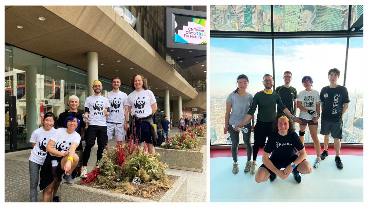 Over the weekend our team "Pep(tides) in your step" completed the #CNTowerClimb, raising donations and awareness for <a href="/WWFCanada/">WWF-Canada</a>. We'd like to thank actin, myosin, and all the other proteins abundant in muscle fibre for the hard work! 🦵🦵