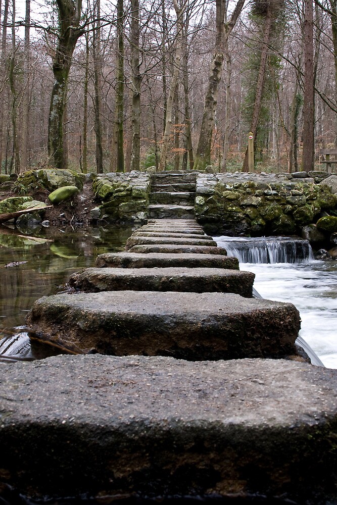 Stepping Stones. Tollymore Forest Park, Northern Ireland. NMP.