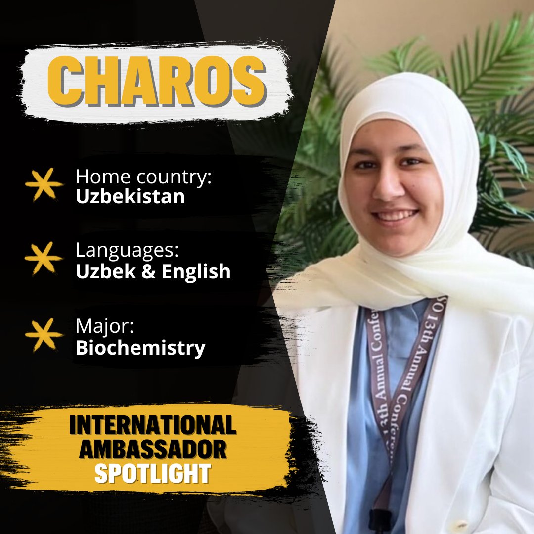 Mizzou International Admissions tweet media