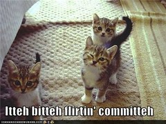 _emergent_'s tweet image. Your bittehs are committehd!?
#Kittehs