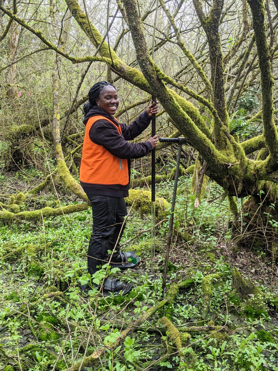 Andy Baird tweet media