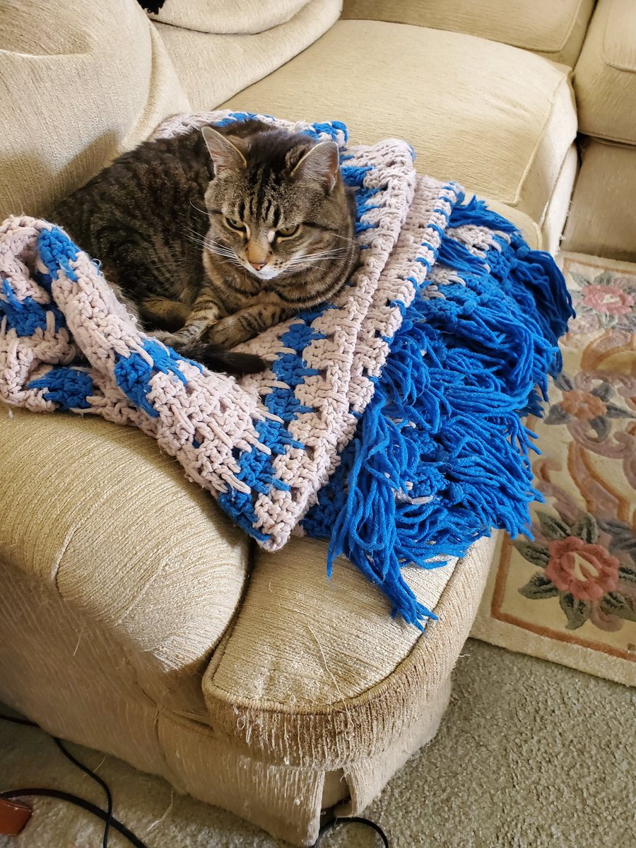 sandi_joy's tweet image. Monday Kitty #RestTime