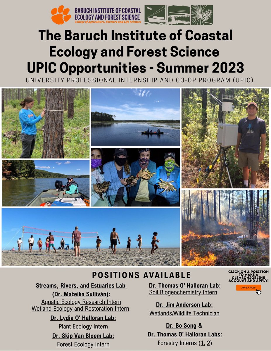 Nayeli K. Sanchez (@nayelik_) on Twitter photo Attention Clemson undergrads! Don't miss out on the opportunity to gain hands-on experience in forestry and ecology this summer. Check out all <a href="/ClemsonBaruch/">Baruch Institute CU</a> internships at the link below ⬇️
clemson-csm.symplicity.com/students/jobbo…
#Clemson #Internship Attention Clemson undergrads! Don't miss out on the opportunity to gain hands-on experience in forestry and ecology this summer. Check out all <a href="/ClemsonBaruch/">Baruch Institute CU</a> internships at the link below ⬇️
clemson-csm.symplicity.com/students/jobbo…
#Clemson #Internship