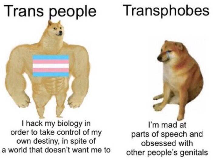 Post this to make a transphobe mad guaranteed