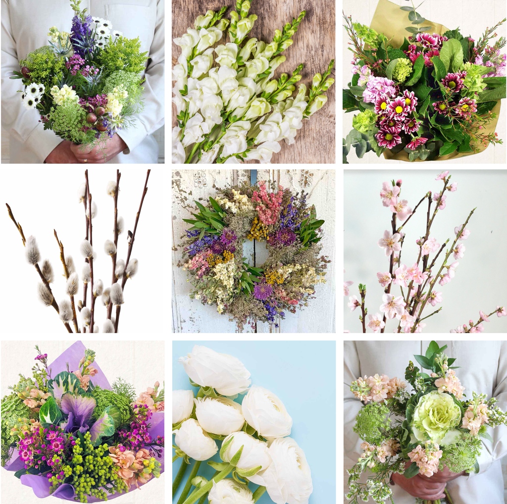 farmfreshtoyou's tweet photo. Add a touch of good cheer to your home with fresh flowers. Include a beautiful bouquet, a simple floral bunch or a lovely wreath to your next farm box delivery.
#peachblossoms #pussywillowbranch #springawakening #ranunculus #scentofspring #snapdragons
https://t.co/qYdfvLaTSs https://t.co/S115oBFCPO