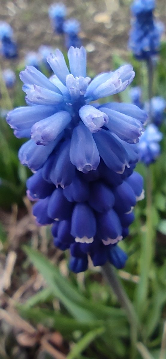 Мишка (@electricaev) on Twitter photo 