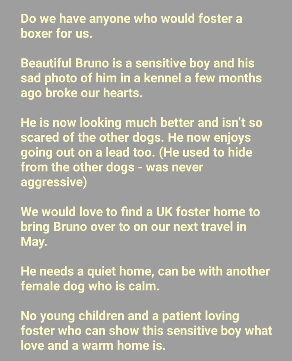 Second Chance Dog Rescue on Twitter "FOSTER REQUIRED Bruno is a