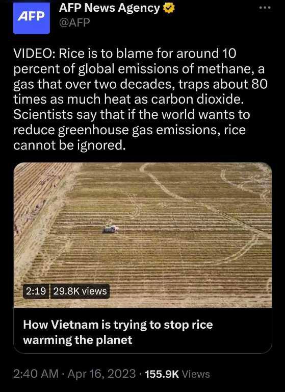 Wide Awake Media tweet media