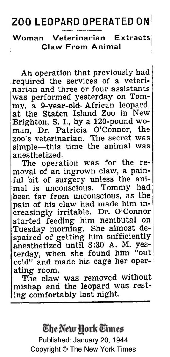 drcrystalheath's tweet image. Woman veterinarians: Practicing #fearfree techniques since 1944. #vetmed #vettwitter