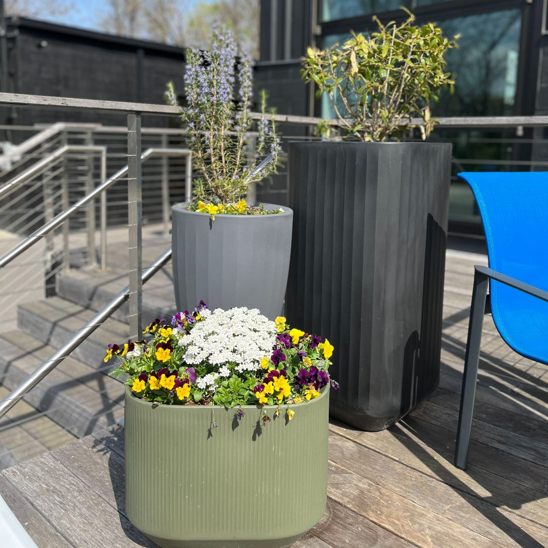 CrescentGardenT's tweet image. Thinking outside the box is what great design is all about. This Kolo Collection in Nashville design plays with container heights to showcase beautiful plant clusters. A dynamic design that allows each planter to shine individually and as a whole.🪴 #containerdesign