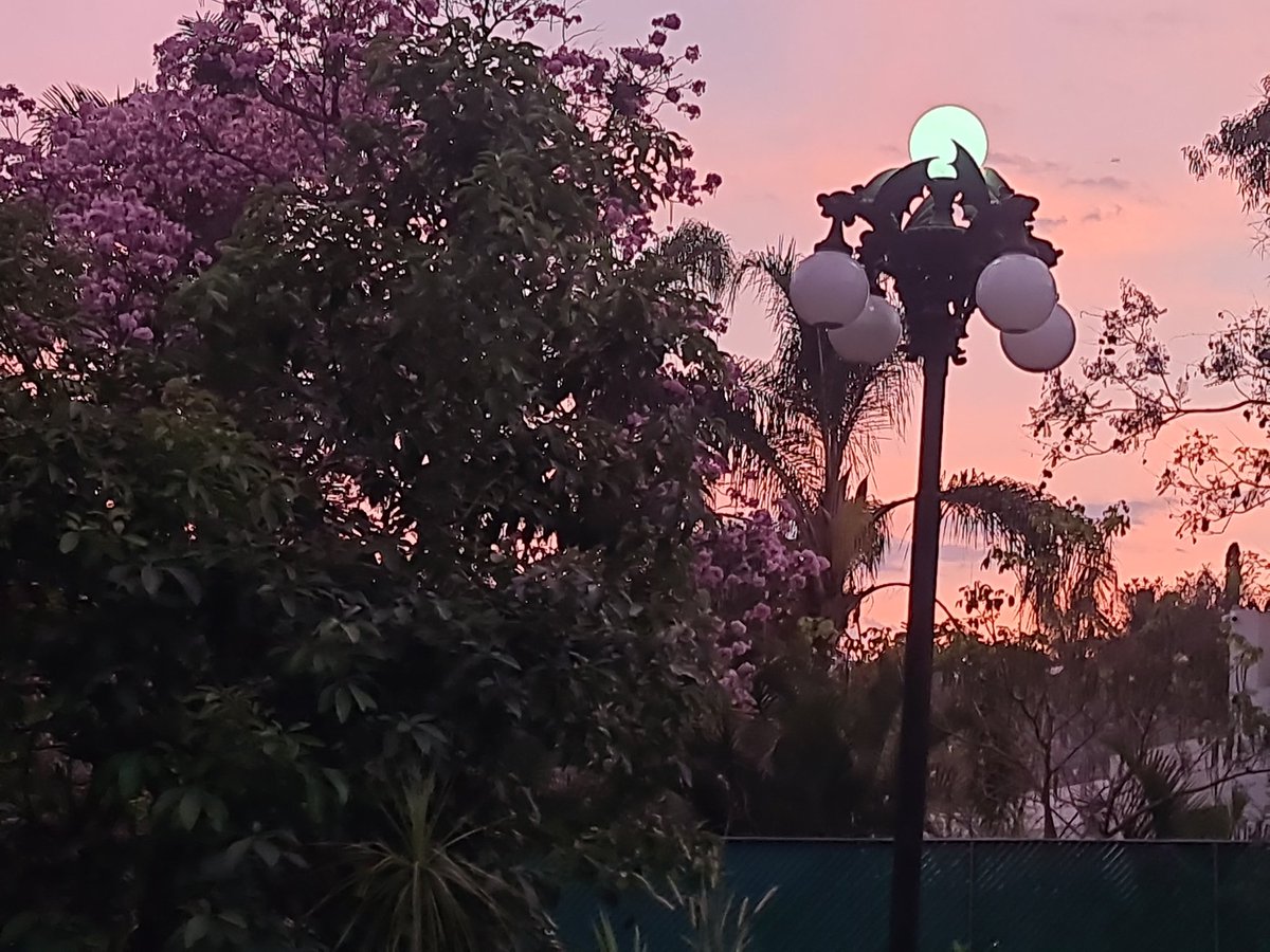 Jorge Alberto Álvarez Saavedra (@jorgealbertolv8) on Twitter photo 