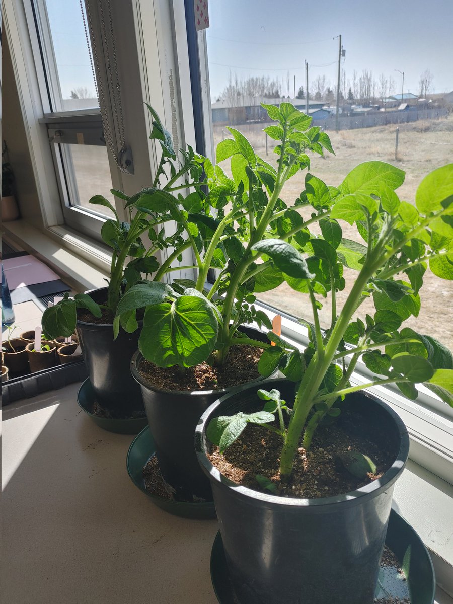 Angie Angle tweet media