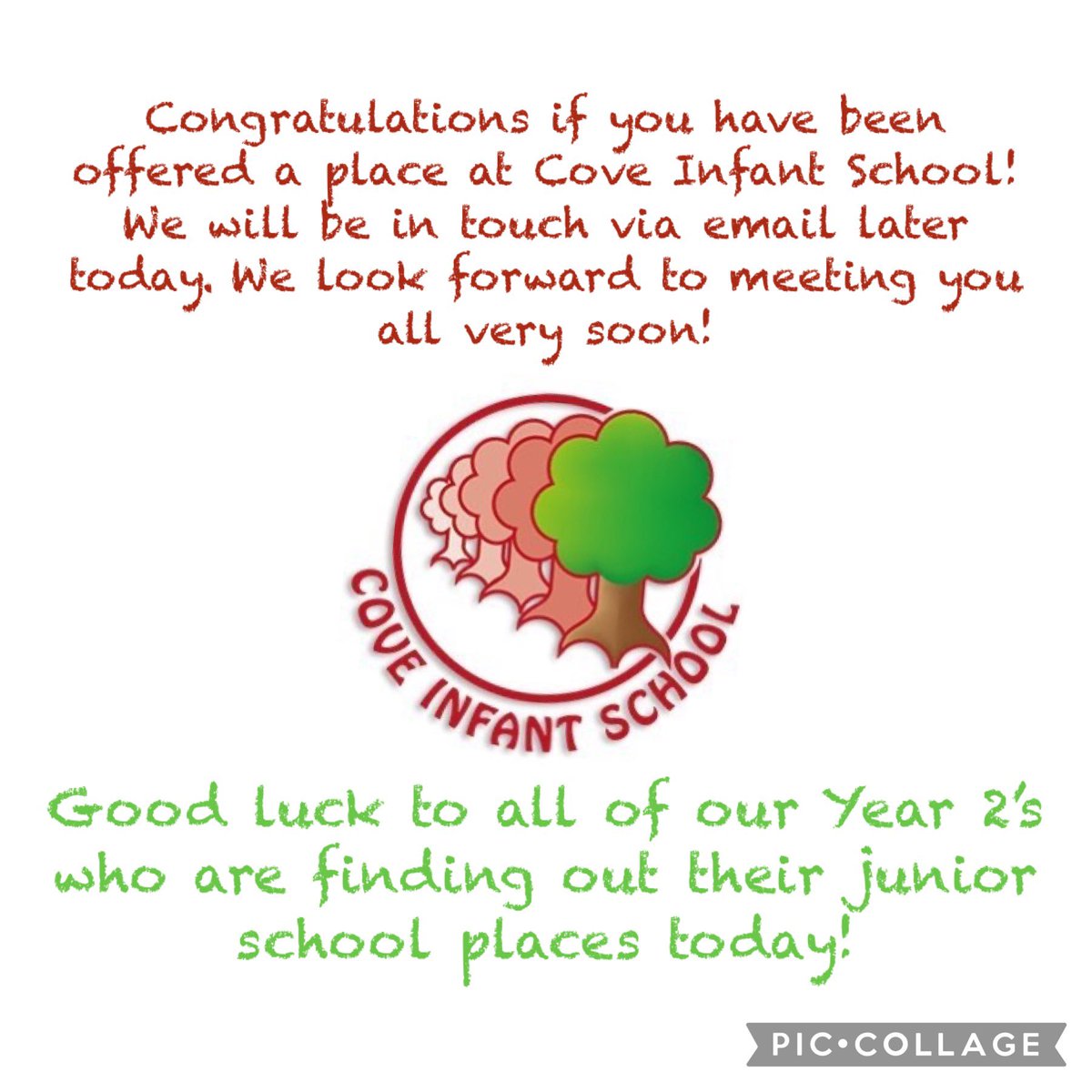 Cove Infant School tweet media