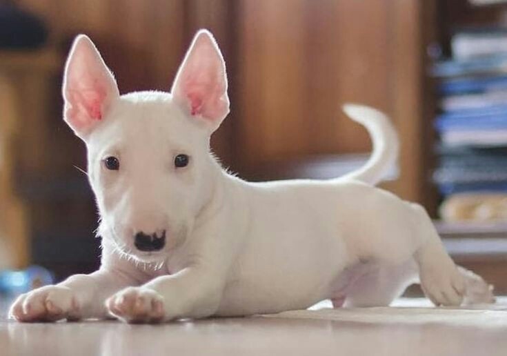 𝕵𝖆𝖒𝖊𝖘 𝕱𝖊𝖗𝖒𝖆𝖓 𝕸𝖆𝖈𝖈𝖆𝖓☠️ DJ JAMMY💽 tweet media