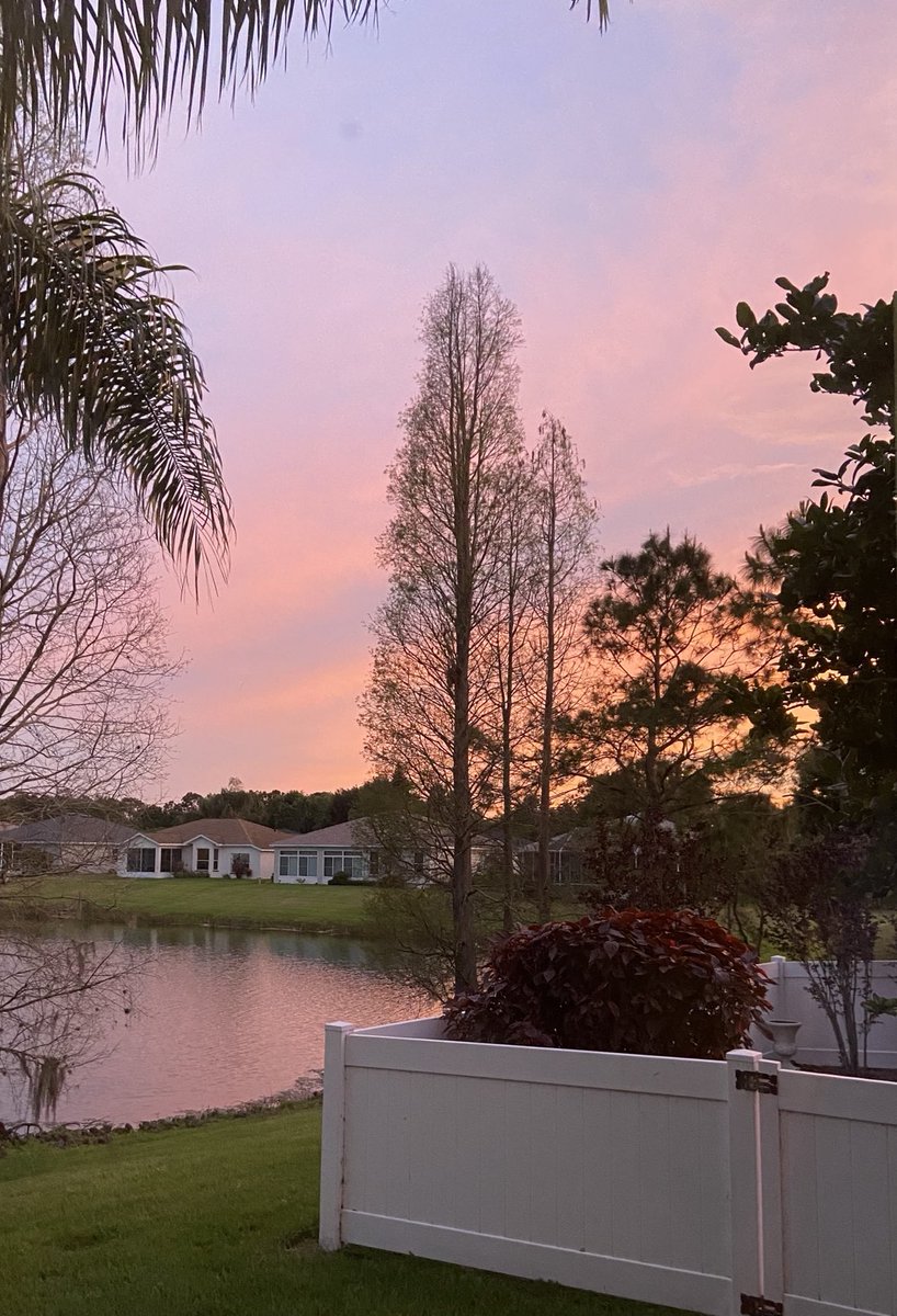 ⁦@FloridianCreat1⁩ - a cotton candy sky in Lakeland on Friday night. #sunset #chasingsunsets #cottoncandyskies #florida #lakeland