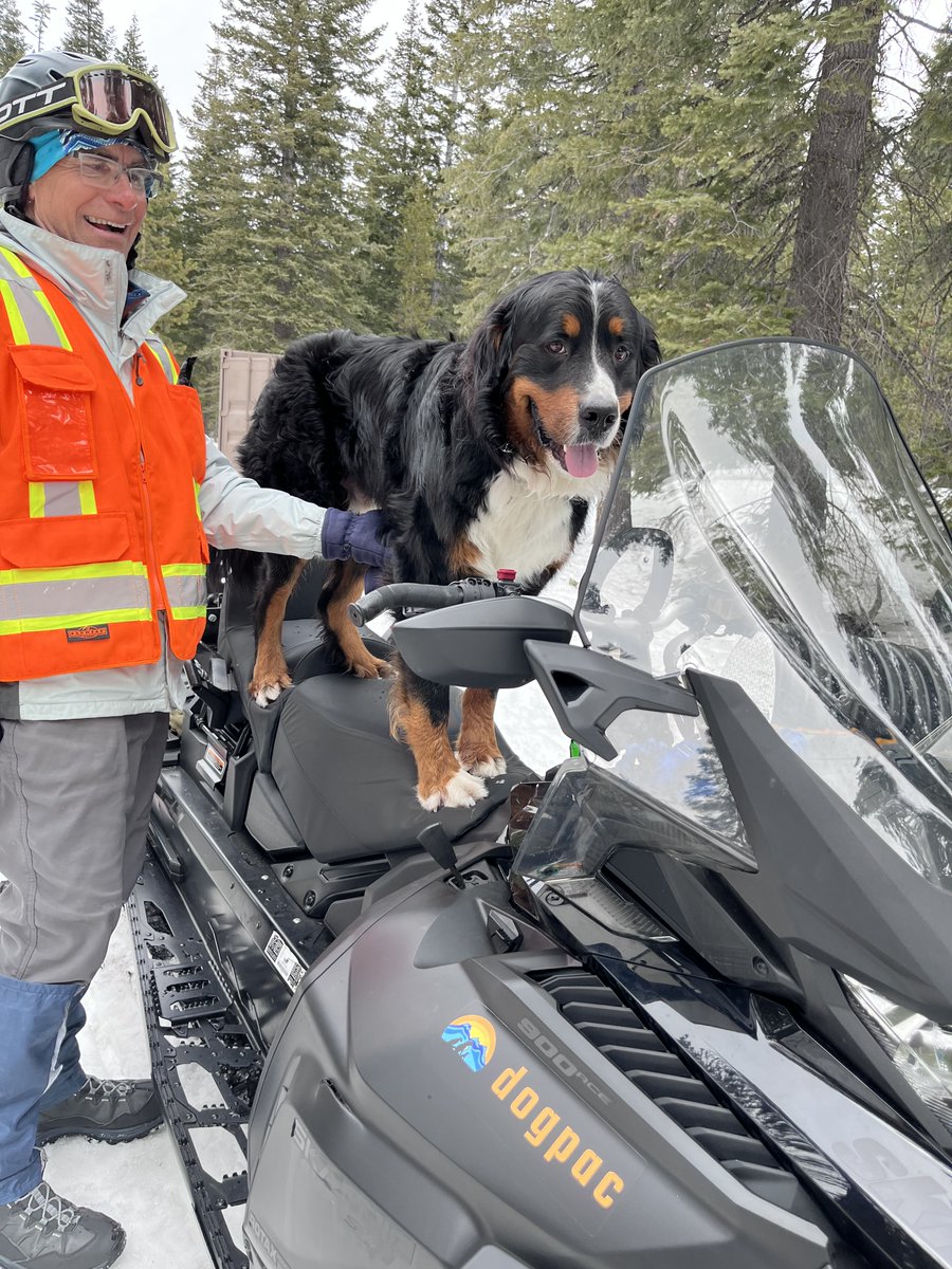 dogpacorg's tweet photo. Sunday (4/16) was the LAST DAY OF GROOMING at Wanoga for the season. The dogs were very appreciative of the work the groomers have done this season. Thank you for supporting these efforts thru your donations! https://t.co/h1HMocTtyA #wanoga #dogpac #snowdogs #dogpacorg #centralOR https://t.co/K8dAQ1b6wK