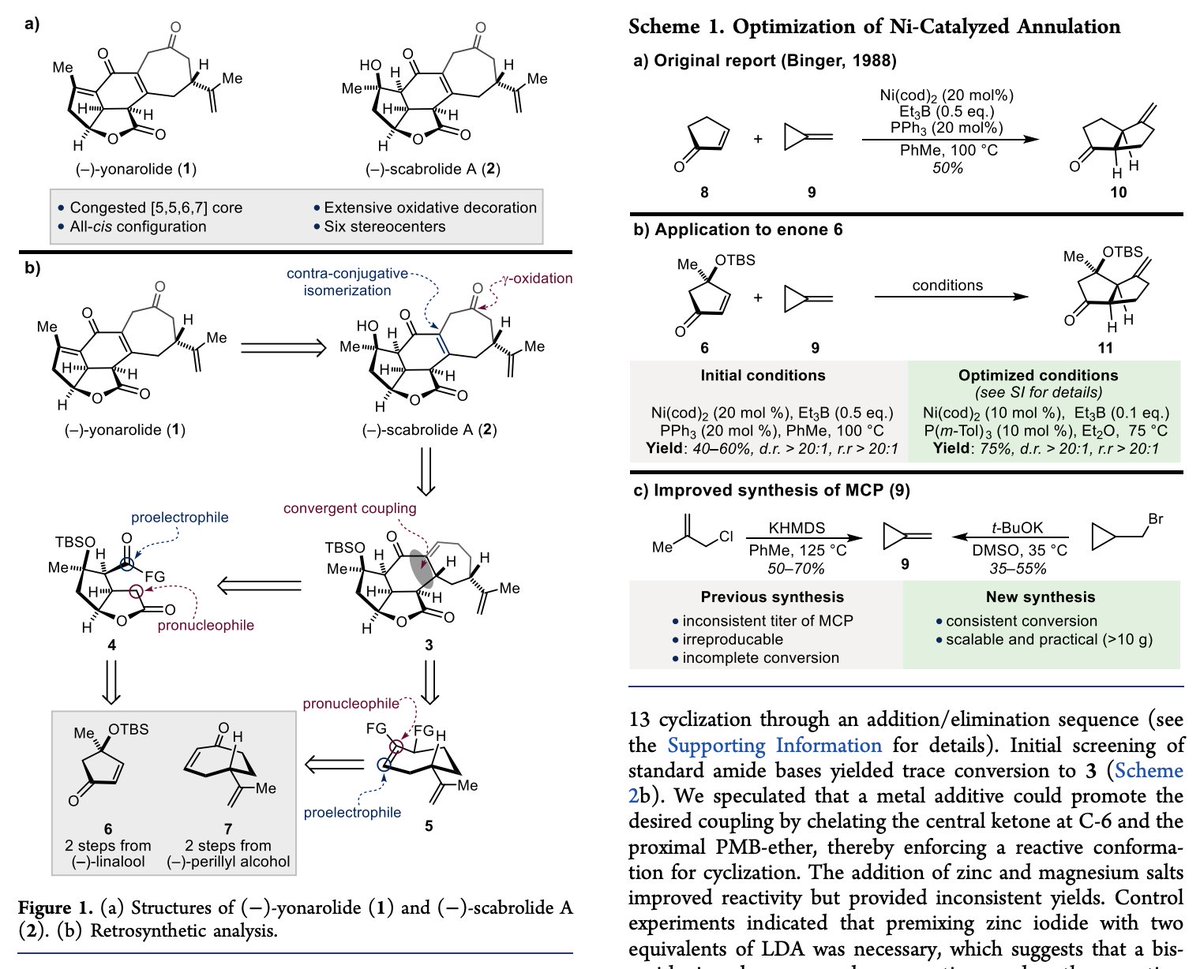 TotalSynthesis's tweet photo. #TotalSyntheses of Scabrolide A and Yonarolide by Roberto Serrano, Yaroslav D. Boyko @YaroslavBoyko4, Lucas W. Hernandez, Aleksandras Lotuzas @The_Foreign_, and David Sarlah @SarlahLab at @ChemistryUIUC in @J_A_C_S https://t.co/TCAnkJlIrP https://t.co/jMV0yqUd4t