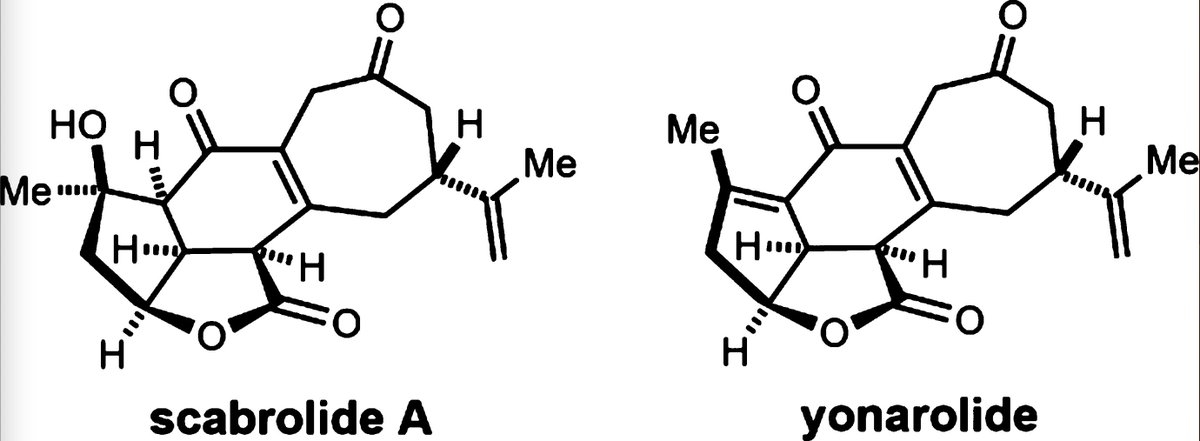 TotalSynthesis's tweet photo. #TotalSyntheses of Scabrolide A and Yonarolide by Roberto Serrano, Yaroslav D. Boyko @YaroslavBoyko4, Lucas W. Hernandez, Aleksandras Lotuzas @The_Foreign_, and David Sarlah @SarlahLab at @ChemistryUIUC in @J_A_C_S https://t.co/TCAnkJlIrP https://t.co/jMV0yqUd4t