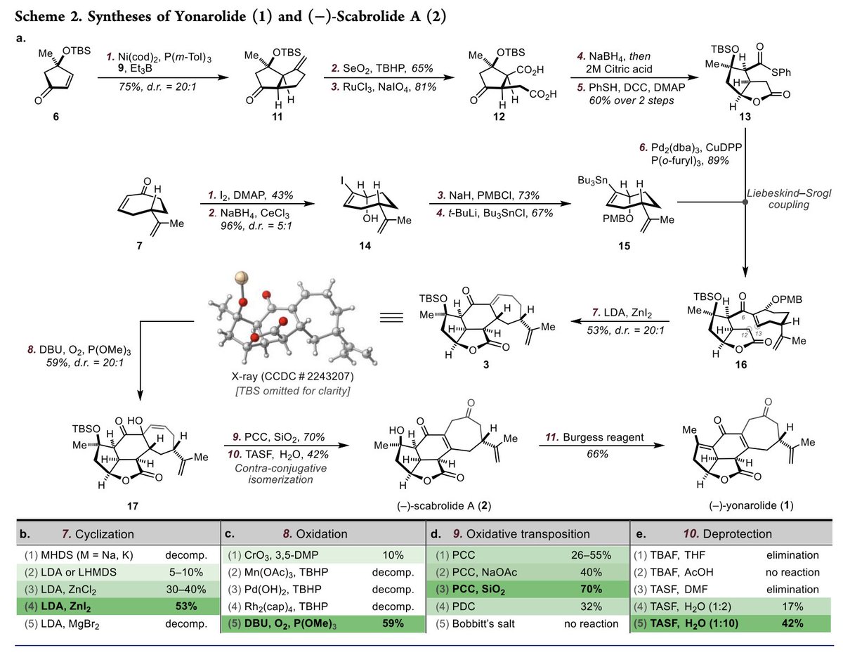 Total Synthesis (@totalsynthesis) on Twitter photo #TotalSyntheses of Scabrolide A and Yonarolide by Roberto Serrano, Yaroslav D. Boyko <a href="/YaroslavBoyko4/">Yaroslav Boyko</a>, Lucas W. Hernandez, Aleksandras Lotuzas <a href="/The_Foreign_/">Aleksandras (Alek) Lotuzas</a>, and David Sarlah <a href="/SarlahLab/">Sarlah Lab</a> at <a href="/ChemistryUIUC/">Chemistry at Illinois</a> in <a href="/J_A_C_S/">J. Am. Chem. Soc.</a> pubs.acs.org/doi/10.1021/ja⦠#TotalSyntheses of Scabrolide A and Yonarolide by Roberto Serrano, Yaroslav D. Boyko <a href="/YaroslavBoyko4/">Yaroslav Boyko</a>, Lucas W. Hernandez, Aleksandras Lotuzas <a href="/The_Foreign_/">Aleksandras (Alek) Lotuzas</a>, and David Sarlah <a href="/SarlahLab/">Sarlah Lab</a> at <a href="/ChemistryUIUC/">Chemistry at Illinois</a> in <a href="/J_A_C_S/">J. Am. Chem. Soc.</a> pubs.acs.org/doi/10.1021/jaā¦