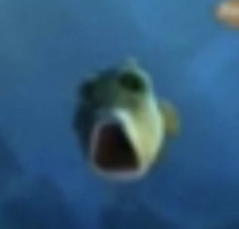 Images That Invoke Confusion tweet media