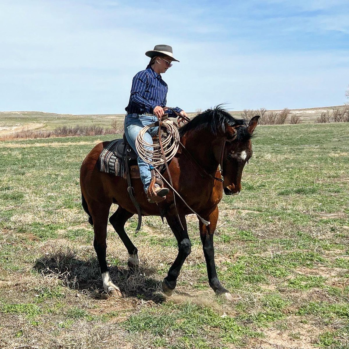 dalle on Twitter "So very excited to once again offer Bear Traps Bay