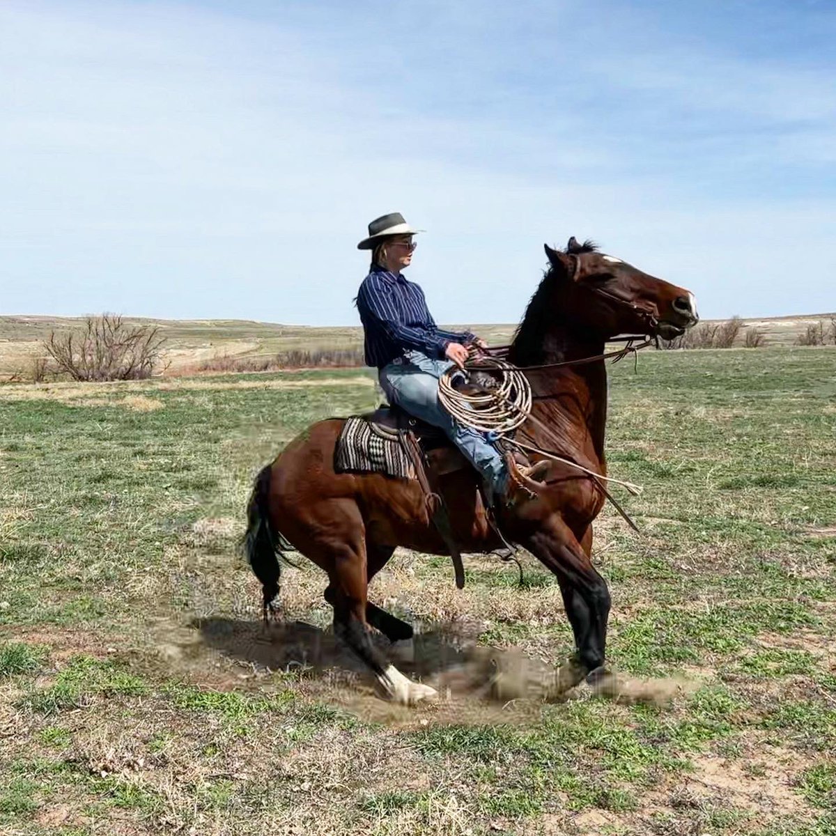 dalle on Twitter "So very excited to once again offer Bear Traps Bay