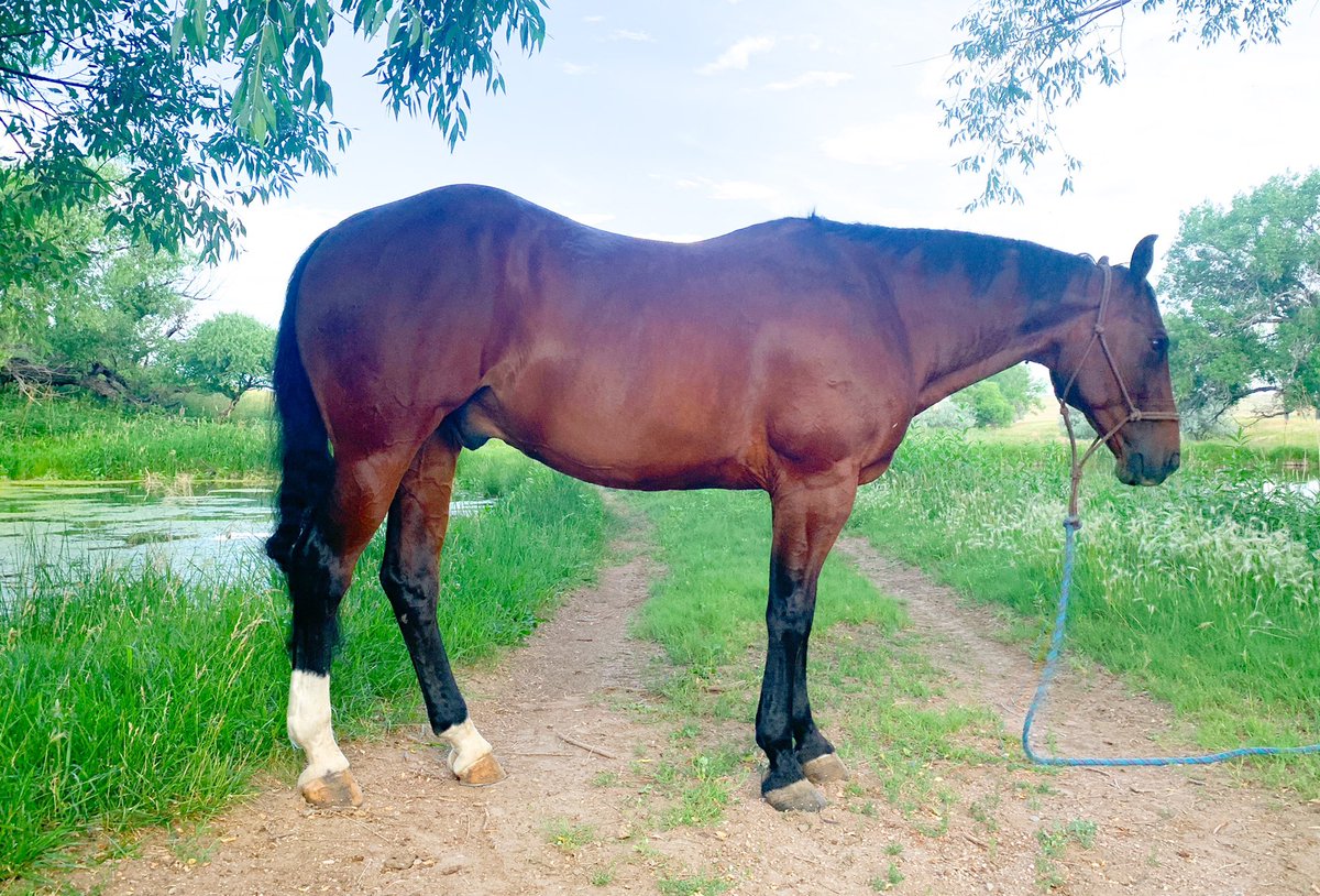 dalle on Twitter "So very excited to once again offer Bear Traps Bay