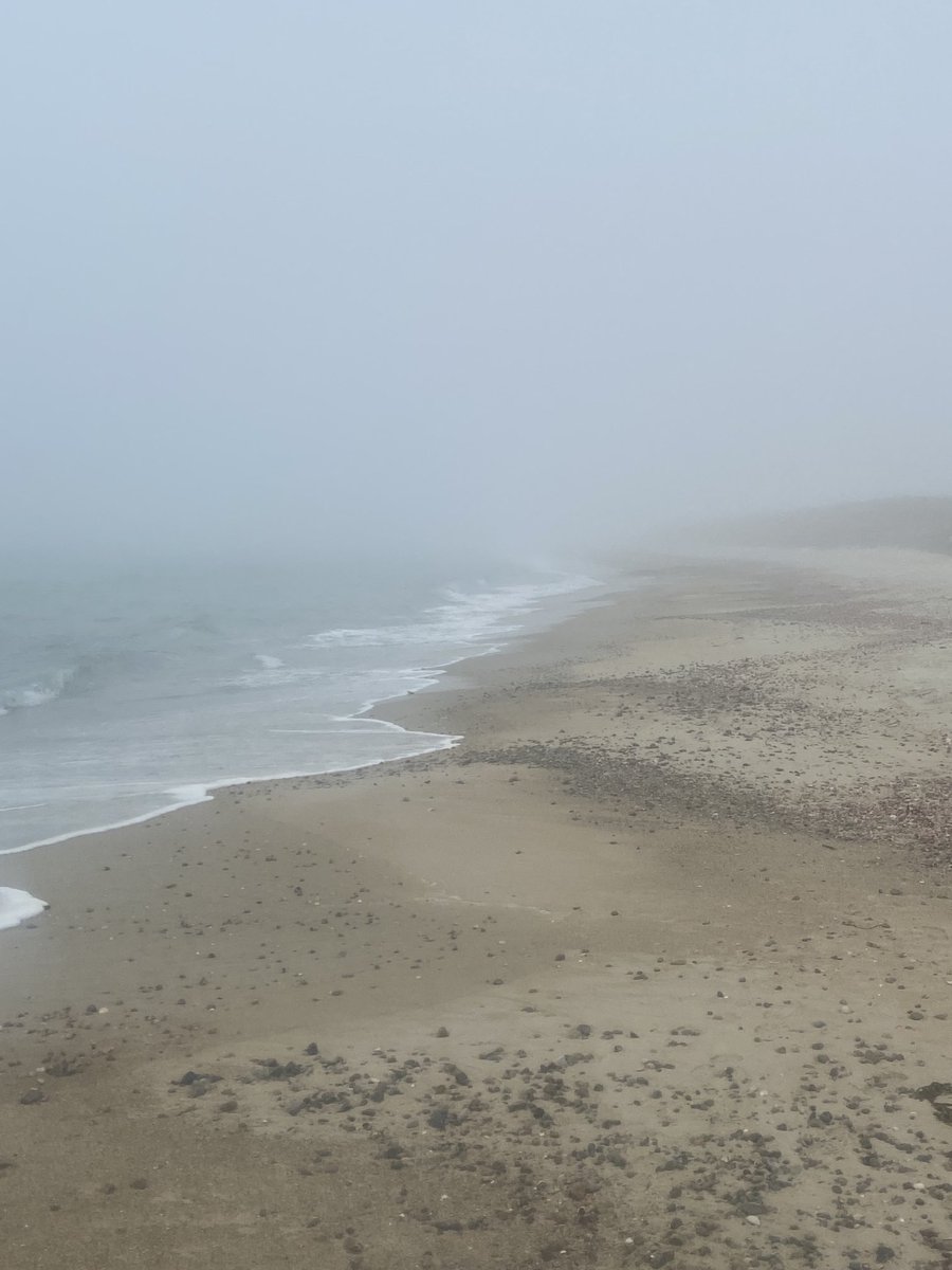 Tom Peters on Twitter "My kinda beach weather. Have loved this look